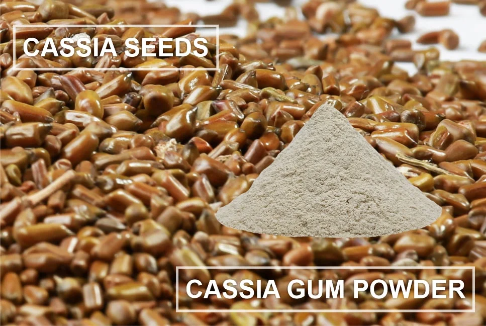 Cassia Gum Powder